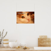 Ermahgerd Niedlich Orange Cat Poster (Küche)
