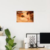 Ermahgerd Niedlich Orange Cat Poster (Heimbüro)