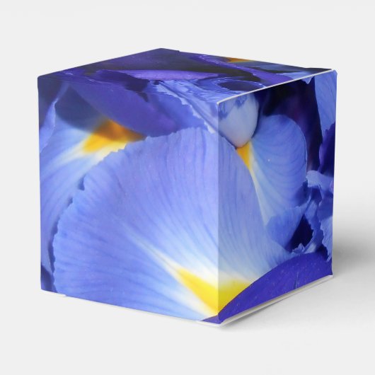 Ermengarde Geschenkschachtel (Rückseite)