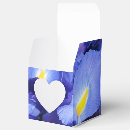 Ermengarde Geschenkschachtel (Geöffnet)