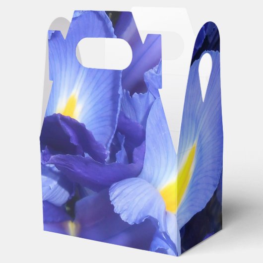 Ermengarde Geschenkschachtel (Geöffnet)