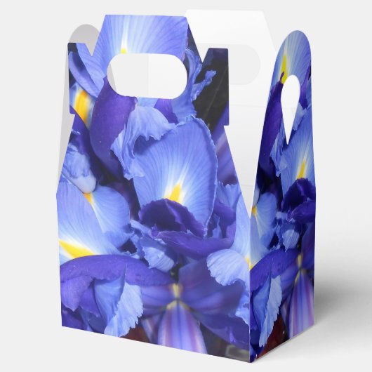 Ermengarde Geschenkschachtel (Geöffnet)