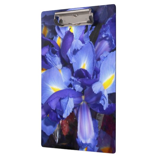 Ermengarde Klemmbrett (Links)