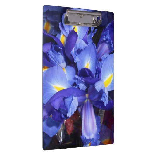 Ermengarde Klemmbrett (Rechts)