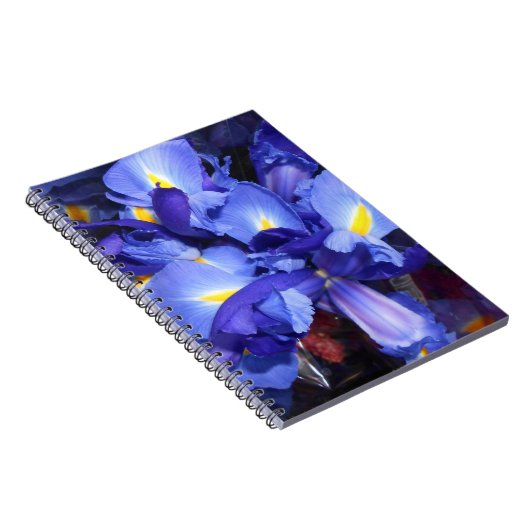 Ermengarde Notizblock (Rechte Seite)