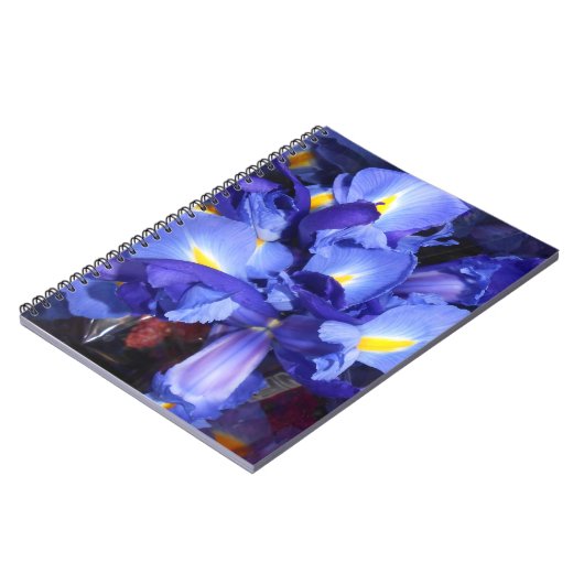 Ermengarde Notizblock (Linke Seite)