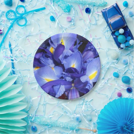 Ermengarde Pappteller (Party)