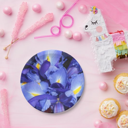 Ermengarde Pappteller (Party)