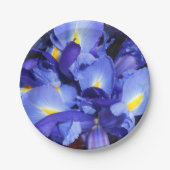 Ermengarde Pappteller (Vorderseite)