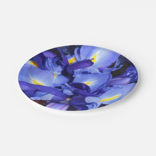 Ermengarde Pappteller (Schrägansicht)