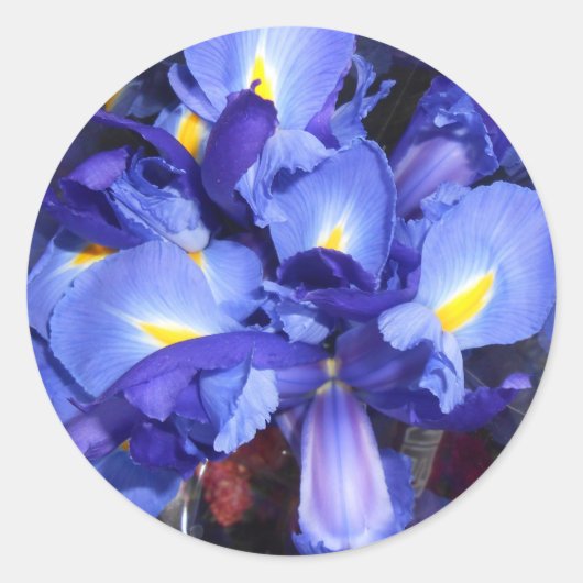 Ermengarde Runder Aufkleber (Vorderseite)