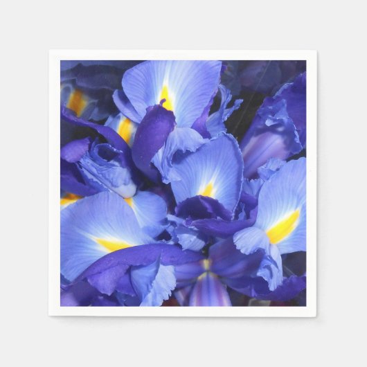 Ermengarde Serviette (Vorderseite)