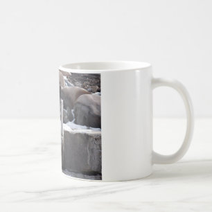 Ermine auf Snowy-Felsen Kaffeetasse