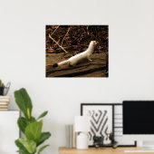 Ermine Poster (Heimbüro)