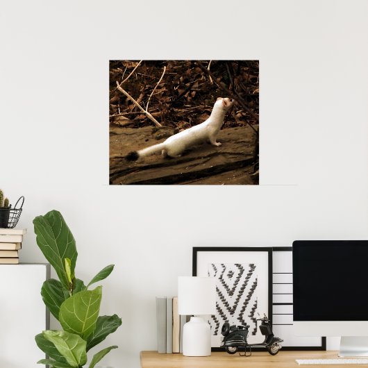 Ermine Poster (Heimbüro)