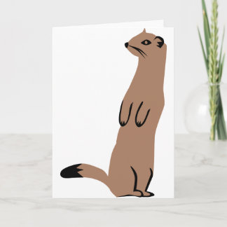 Ermine - Stoat - Weasel Karte