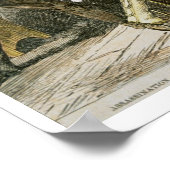 Ermordung von 'Wilden Bill' (W.B. Hickok) durch Ja Poster (Ecke)