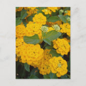 Ermutigen Sie besondere Freunde positive gelbe Blu Postkarte (Vorderseite)