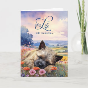 Ermutigung Cairn Terrier Hund Wildblumenwiese Karte