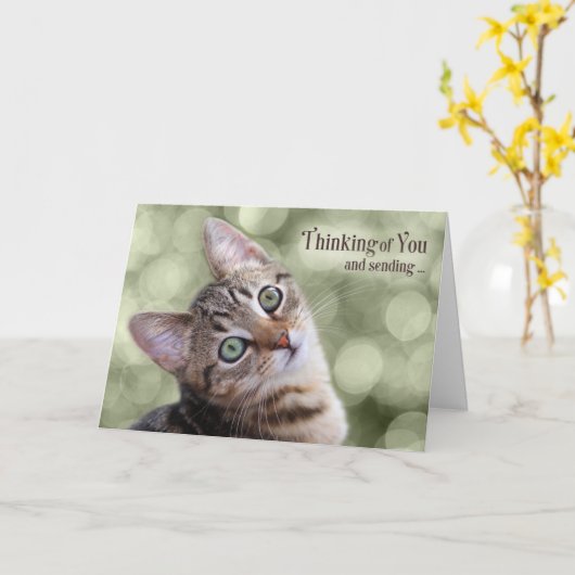Ermutigung Denken Sie Tabby Kitten Karte (Gelbe Blume)