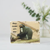 Ermutigung der Postkarte mit dem Affen (Stehend Vorderseite)