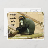 Ermutigung der Postkarte mit dem Affen (Vorne/Hinten)