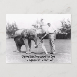 Ermutigung - Elefant spielt Golf Postkarte