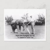 Ermutigung - Elephant Playing Golf Postkarte (Vorderseite)