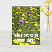 Ermutigung - Funny Thistles Karte (Gelbe Blume)
