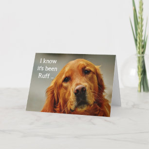Ermutigung/ Gute Besserung Süßer Golden Retriever Karte