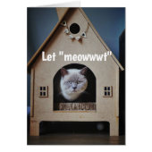 Ermutigung/ Niedliche Katzen suchen (Vorne)