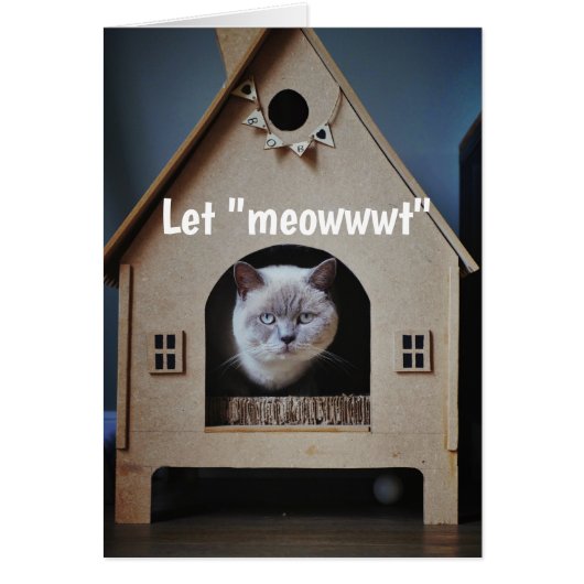 Ermutigung/ Niedliche Katzen suchen (Vorne)