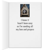 Ermutigung/ Niedliche Katzen suchen (Innen (Rechts))