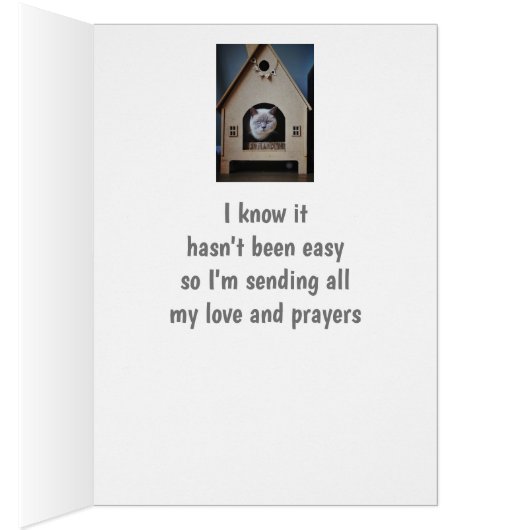 Ermutigung/ Niedliche Katzen suchen (Innen (Rechts))