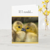 Ermutigung oder Wohlfühl-Ducklings Karte (Gelbe Blume)