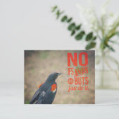 Ermutigung von Blackbird Postkarte (Stehend Vorderseite)