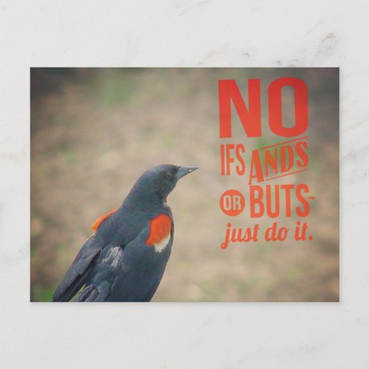 Ermutigung von Blackbird Postkarte (Vorderseite)