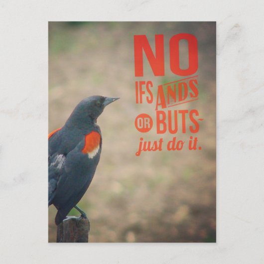Ermutigung von Blackbird Postkarte (Vorderseite)