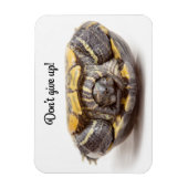 Ermutigung von Schildkröten nicht auf den Kopf Magnet (Vertikal)