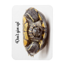 Ermutigung von Schildkröten nicht auf den Kopf Magnet