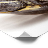 Ermutigung von Schildkröten nicht auf den Kopf Poster (Ecke)