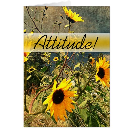 Ermutigung von Sonnenblumen vor Sturmwolken (Vorne)