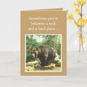 Ermutigung zur richtigen Entscheidung Spaß Bären Karte (Gelbe Blume)