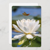 Ermutigungskarte: Kein Schlamm, kein Lotus (Vorne/Hinten)