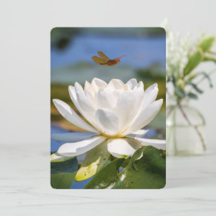 Ermutigungskarte: Kein Schlamm, kein Lotus