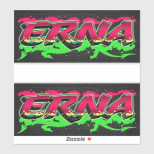Erna Vorname Name Graffiti Aufkleber Sticker