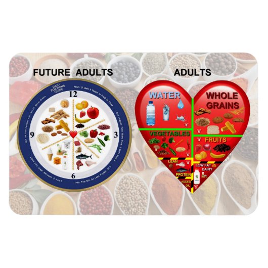 Ernährungsleitfäden Magnet (Horizontal)