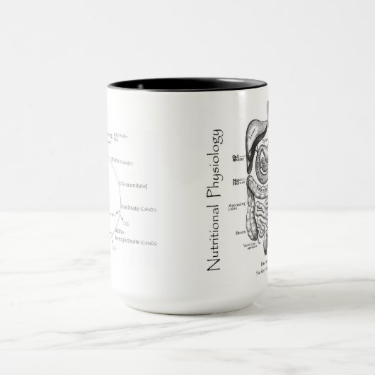 Ernährungsphysiologie keine Eingeweide kein Ruhm Tasse (Zentrum)