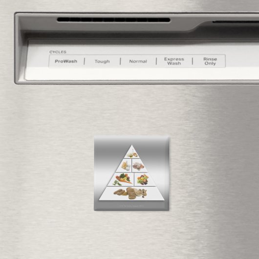 Ernährungspyramide Magnet (In Situ (Geschirrspüler))