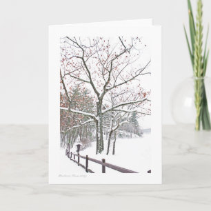 Ernennungen in der Natur: Grußgröße Karte